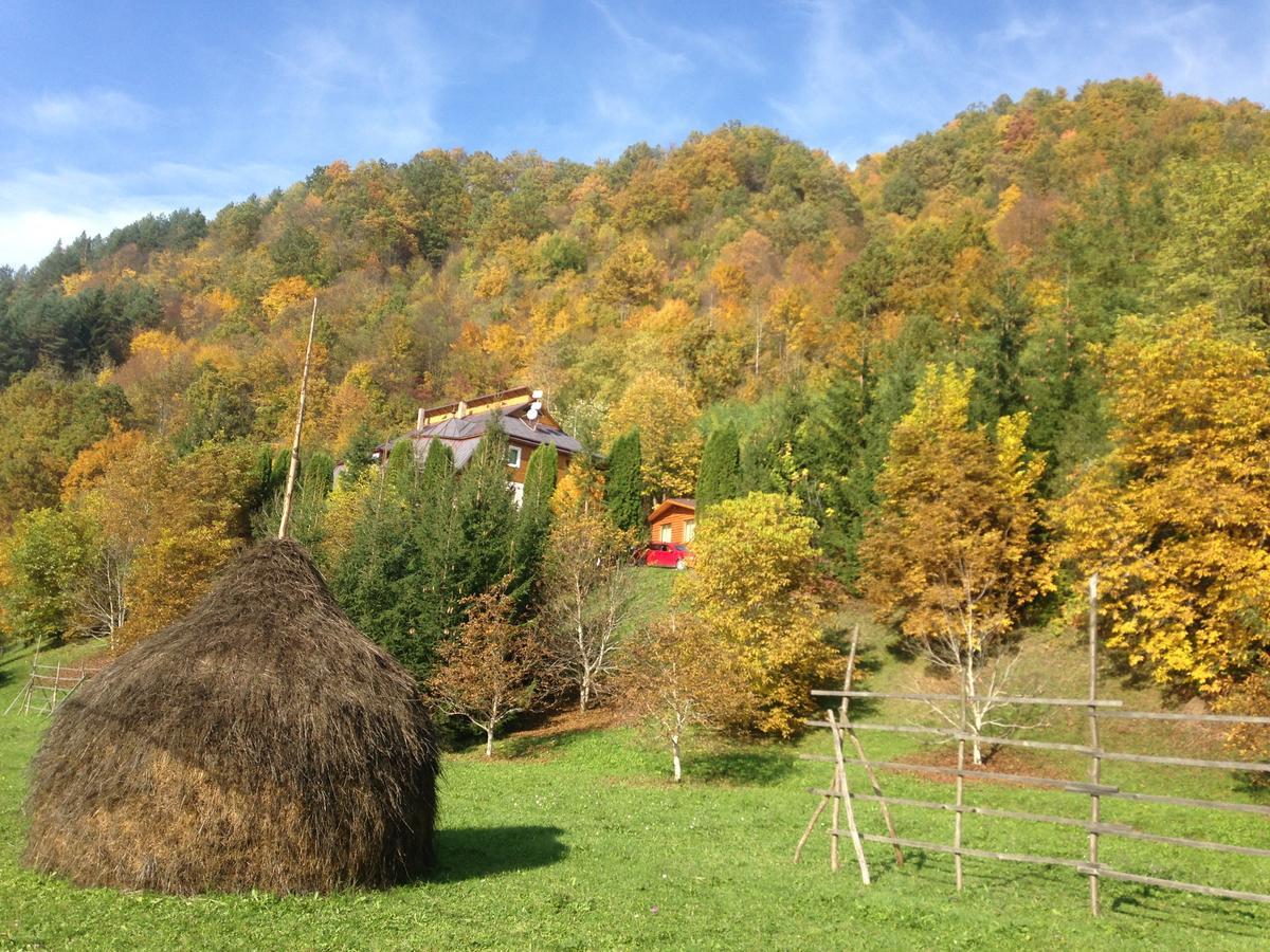 Vila Flora Viseu De Jos Esterno foto